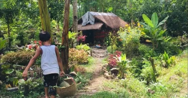 simpleng pamumuhay sa probinsya